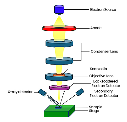 electron-microscope