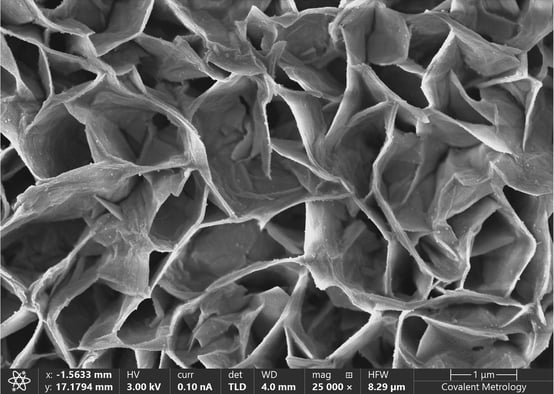 scanning-electron-microscopy-output1